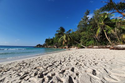 The Anse Georgette