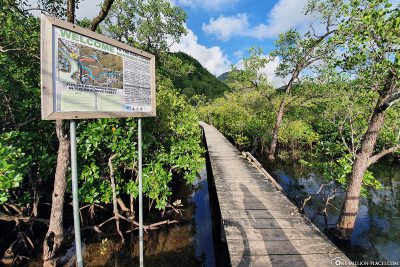 Infoschild für den Port Launay Mangrove Forest