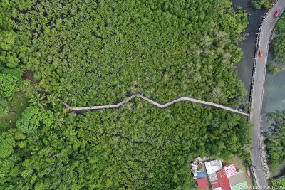 Drohnenaufnahme des Port Launay Mangrove Forest