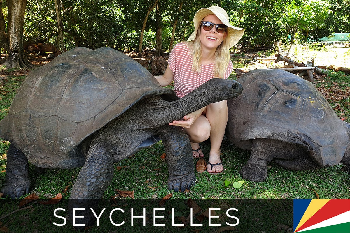 Seychelles Curieuse Island Tortoises Blog Post