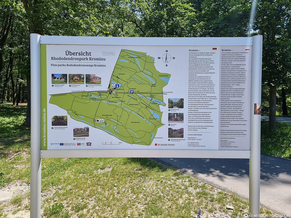 Kromlau, Rhododendronpark, Sachsen, Deutschland, Reisebericht