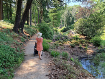 Walk through the Rhododendron Park