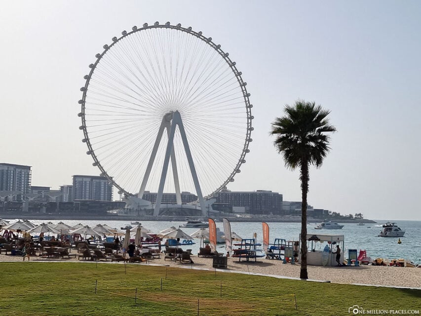 Schöne Ain Dubai Riesenrad Bilder