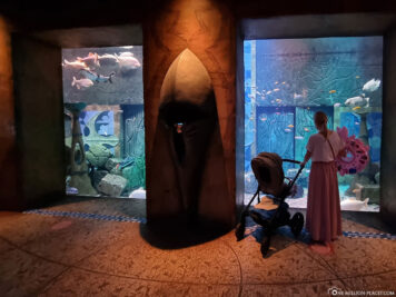 Das Lost Chambers Aquarium
