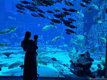 The large aquarium