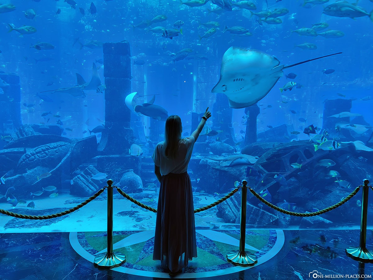 Lost Chambers Aquarium, Ambassador Lagoon, Large Aquarium, Atlantis Hotel, Dubai, Travel Report