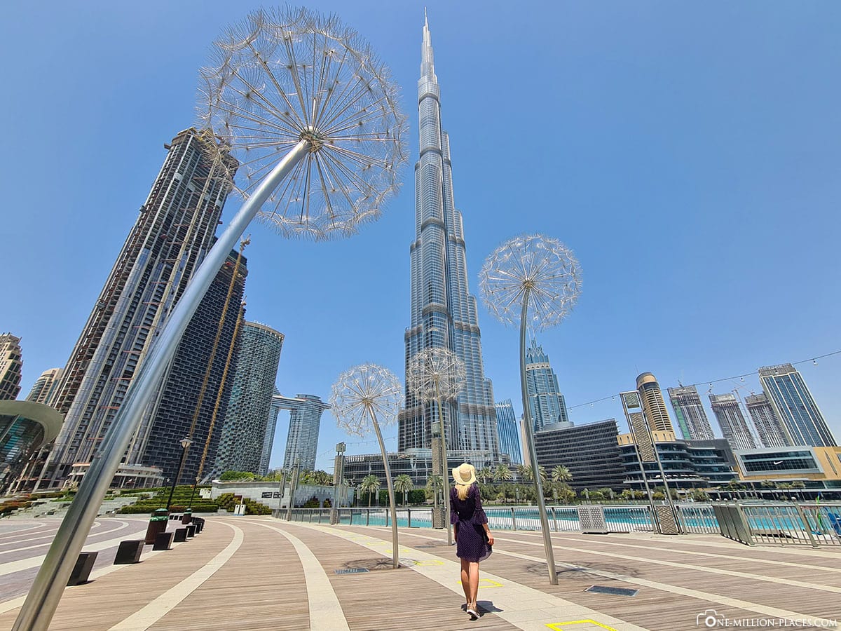 Pusteblumen im Burj Park, Fotospot, Instagram, Dubai