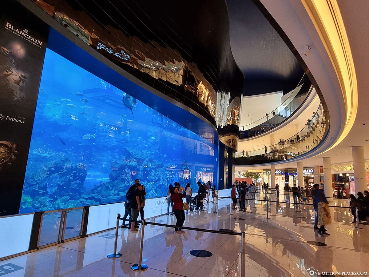 Dubai Aquarium, Dubai Mall, Kostenlos, Reisebericht