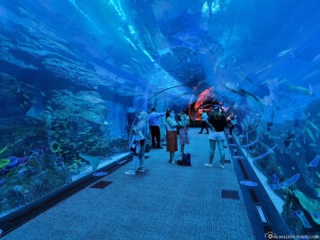 Der Unterwassertunnel