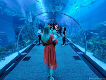 The underwater tunnel