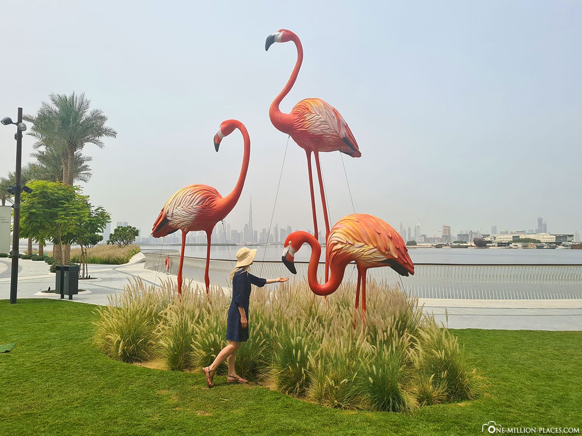 Flamingos, Dubai Creek Harbour, photo spot