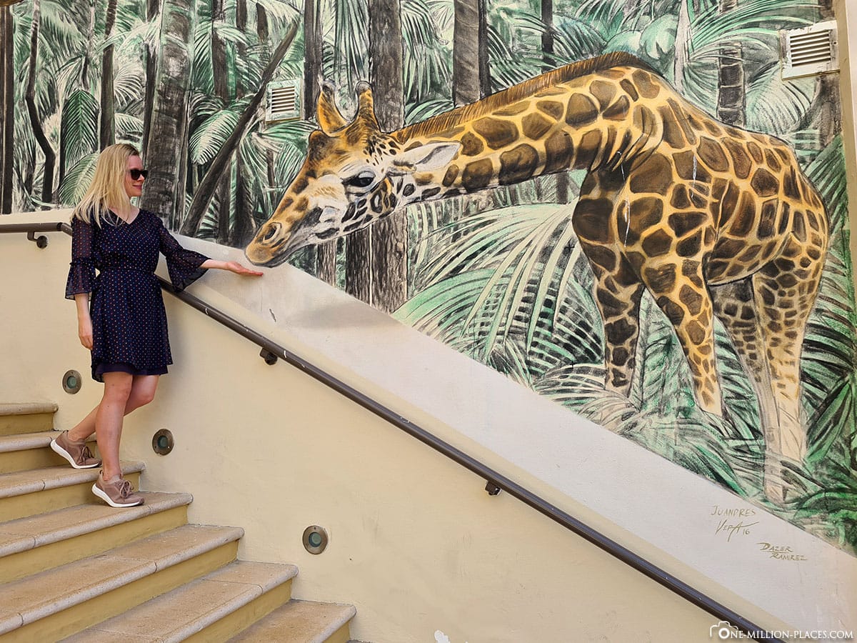 Giraffe, Wandbild, Art, Dubai Marina, JBR, The Walk