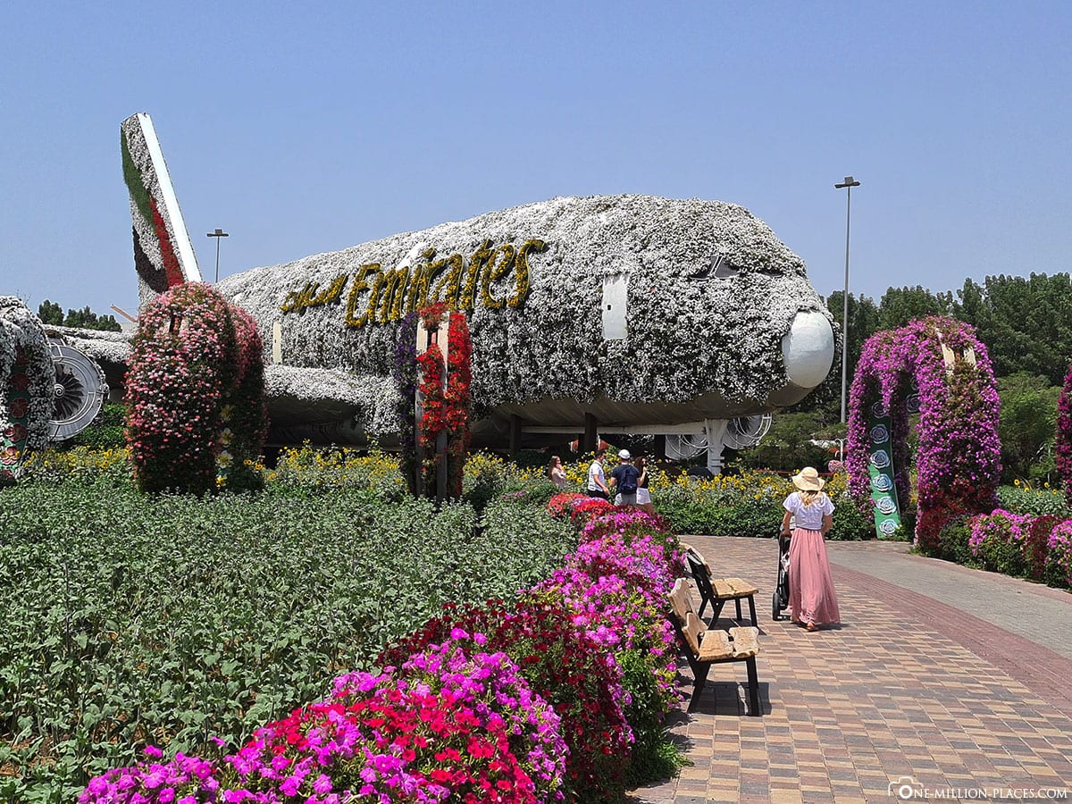 A380 Flugzeug, Dubai Miracle Garden, Sehenswürdigkeiten, Blumenskulpturen, Blumenpark