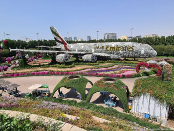 The huge plane of flowers