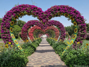 The flower tunnel from the heart