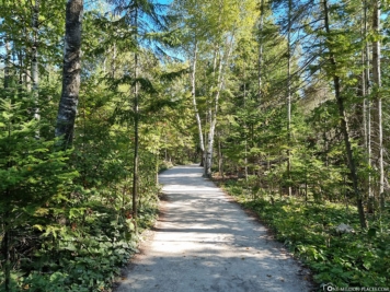 Georgian Bay Trail