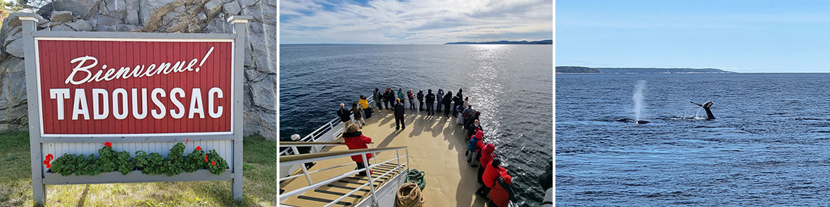 Tadoussac Whale Watching Header Image