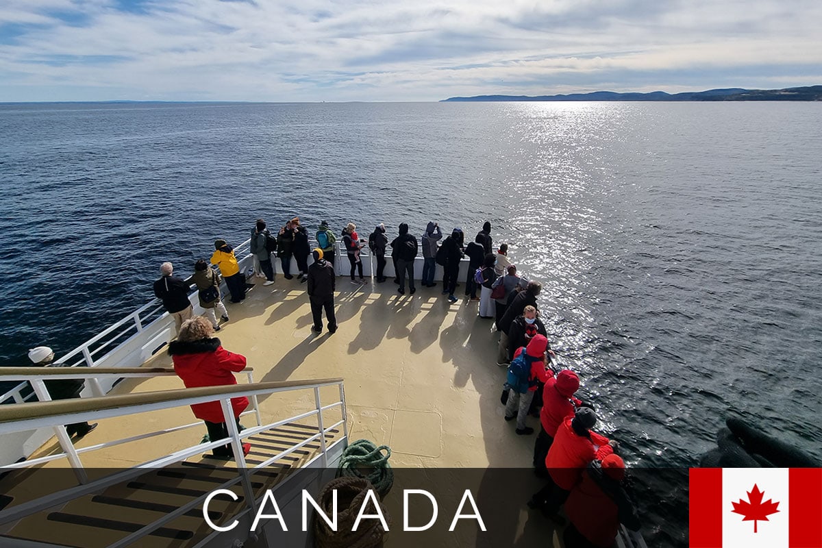 Tadoussac Whale Watching Blog Post