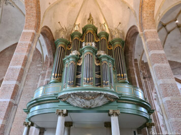 The organ