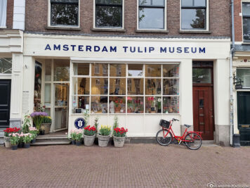 The Tulip Museum