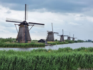 The windmills of Kinderdijk in the Netherlands