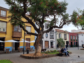 Plaza de La Concepción