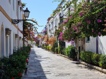 An alley in Puerto de Mogan