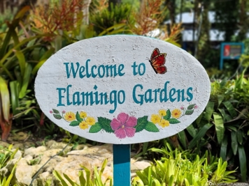 Flamingo Gardens in Florida