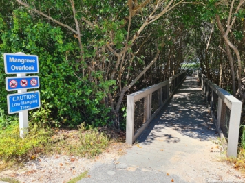 Weg in die Mangroven