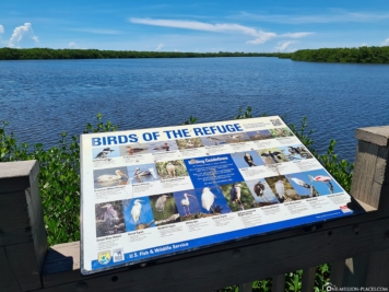 Vögel im Naturschutzgebiet