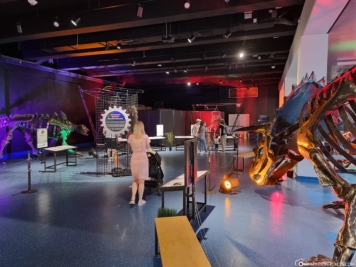 Museum of Discovery & Science 