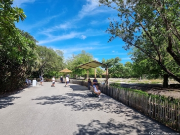 The wide paths in the zoo