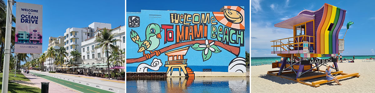 Miami Headerbild