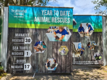 Overview animal rescue  