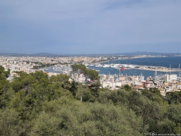 View of the capital Palma de Mallorca