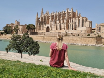The Cathedral of Palma