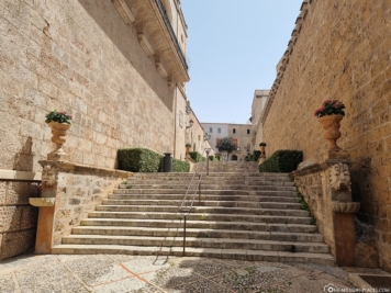 The stairs to Palma Cathedral