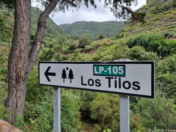 Straße zum Wasserfall Los Tilos
