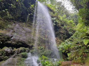 Der Wasserfall Los Tilos