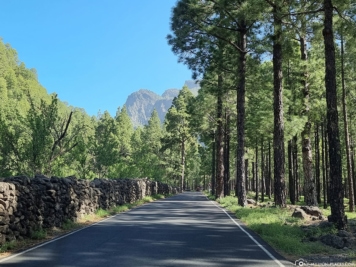 Straße zum Mirador de La Cumbrecita