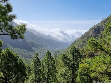 Der Wolkenwasserfall auf La Palma