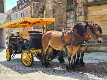 Carriage up the castle hill