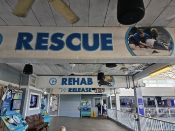 Rescue, Rehab, Release