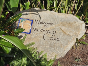 Willkommen im Discovery Cove