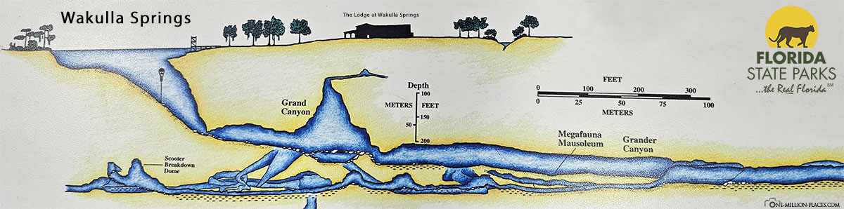 Illustration of the underground spring, Wakulla Springs, map