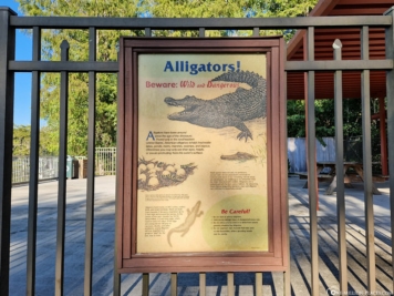 Beware of the alligators