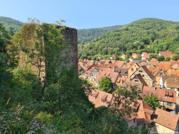 Burg Kaysersberg