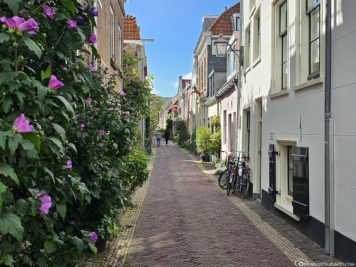 Alley in Haarlem