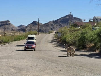 Route 66 to Oatman