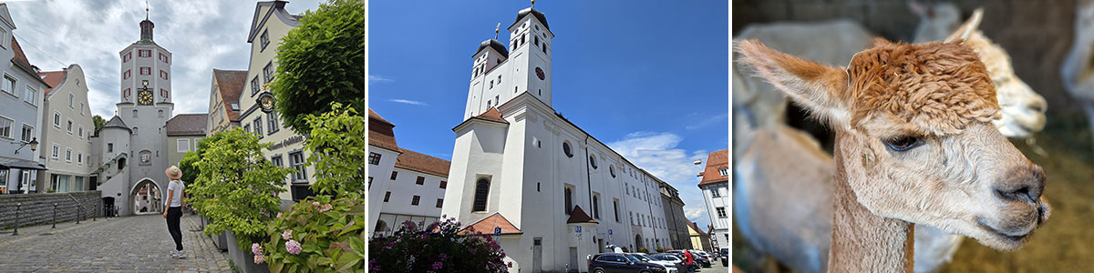 Guenzburg Headerbild